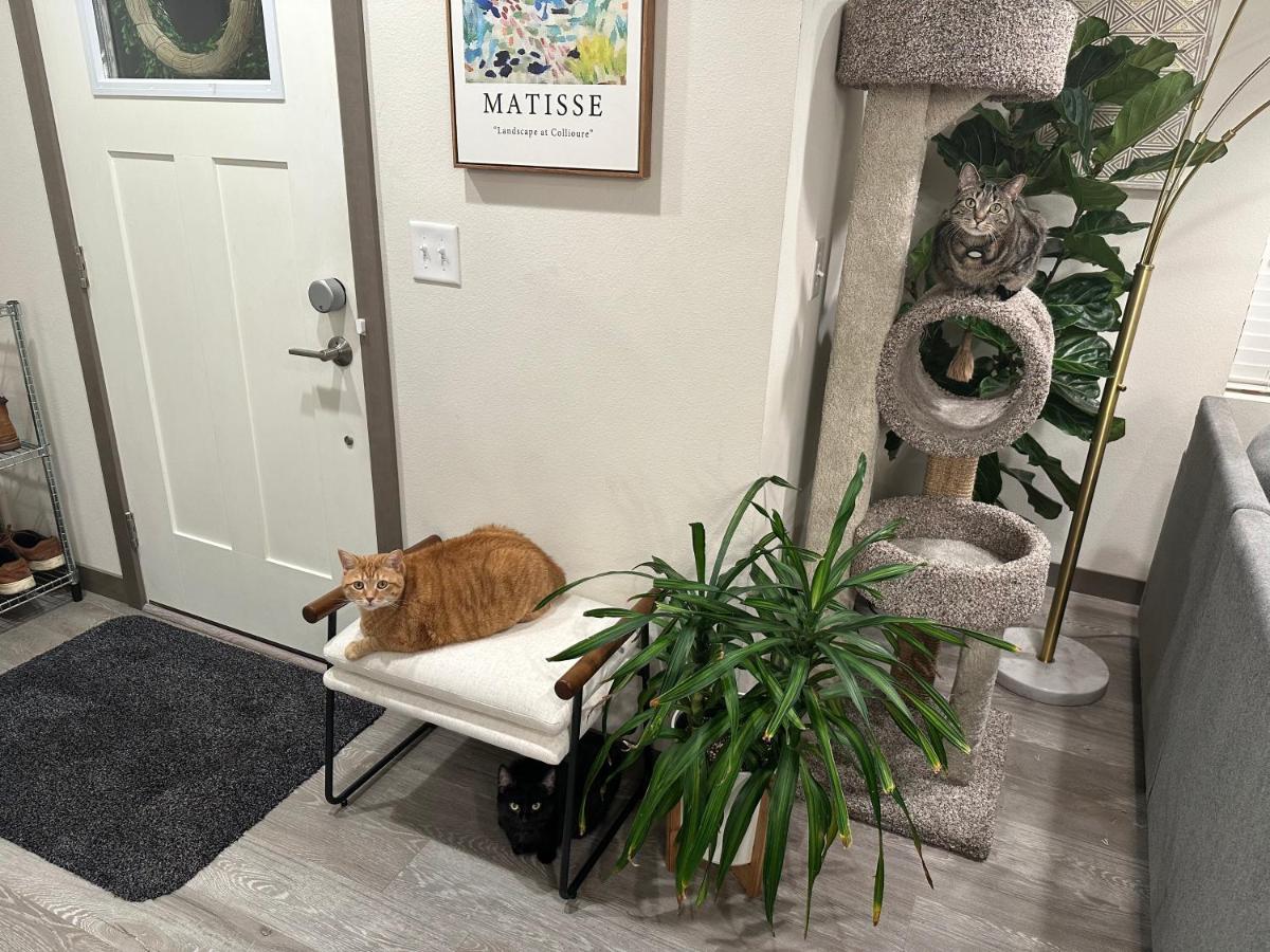Central Tacoma Homestay With Breakfast Included -Private Room- Екстер'єр фото