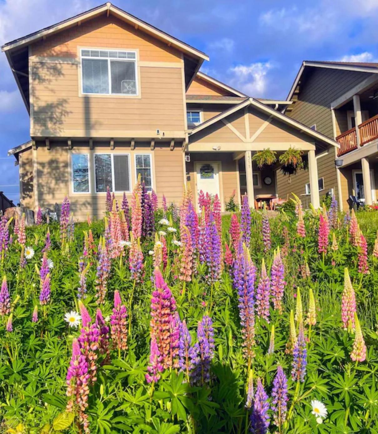 Central Tacoma Homestay With Breakfast Included -Private Room- Екстер'єр фото