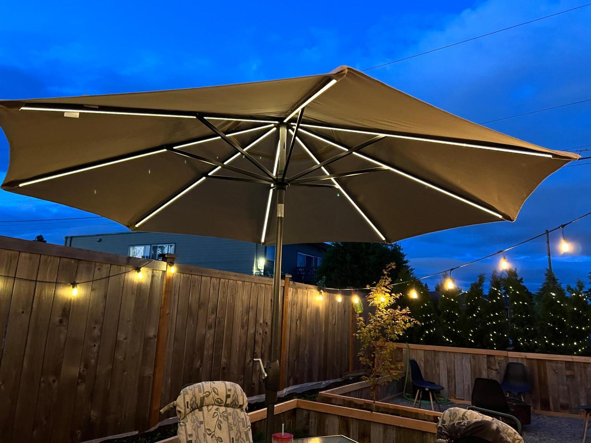 Central Tacoma Homestay With Breakfast Included -Private Room- Екстер'єр фото